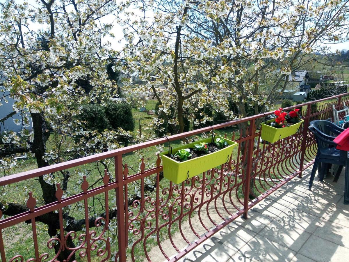 Homestay Strozowka Gorlice Exterior foto